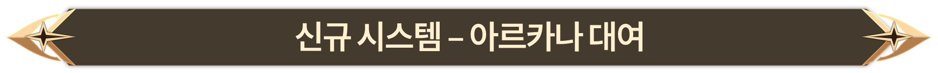 010. 신규 시스템 - 아르카나 대여