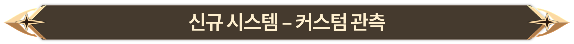 013. 신규 시스템 - 커스텀 관측