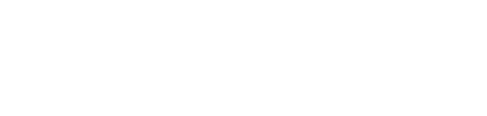 STAR SAVIOR